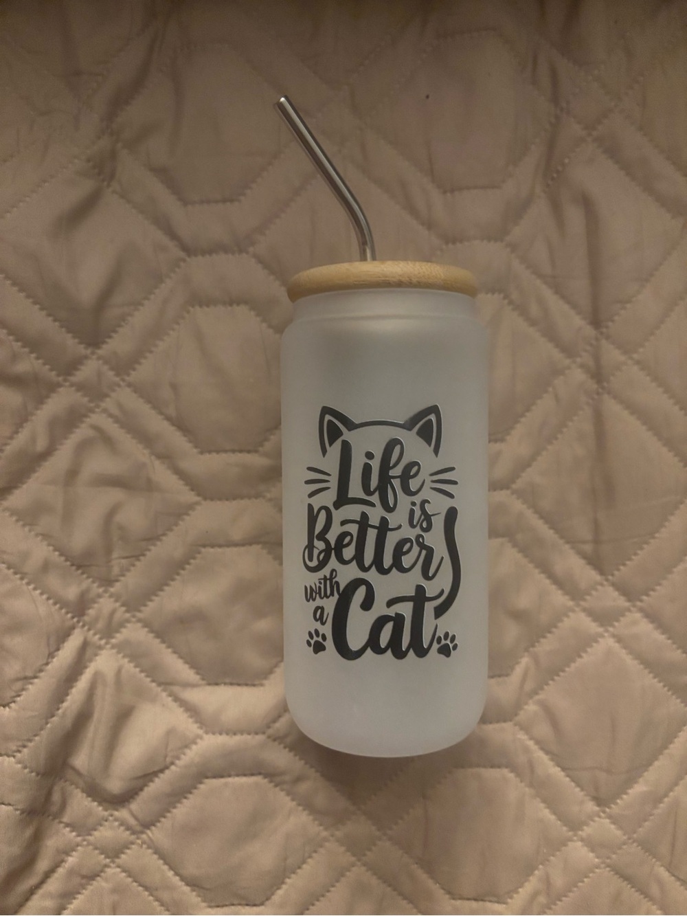 Cat-Themed Frosted Glass Tumbler with Bamboo Lid - White
